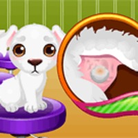 Stray Puppy Care
