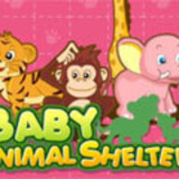Baby Animal Shelter