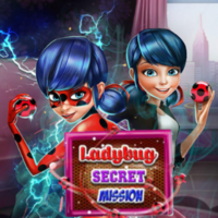 Ladybug: Secret Mission