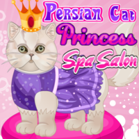 Persian Cat Princess Spa Salon