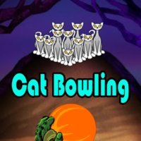 Cat Bowling