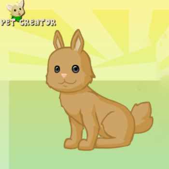 Pet Creator