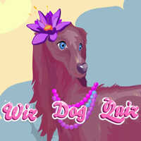 Wiz Dog Quiz