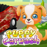 Puppy Carwash