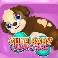 Cute Baby Puppy Care