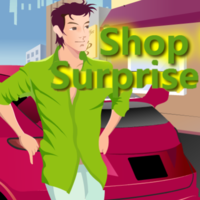 Shop Surprise