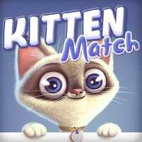 Kitten Match