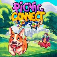 Picnic Connect