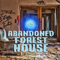 Abandoned Forest House
