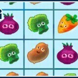 Farm Puzzle Story