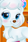 Princesses Pet Beauty Salon