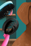 Become a Puppy Groomer