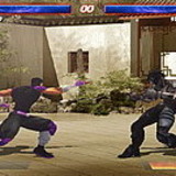 The Perfect Fighter
