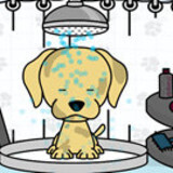 Pet Salon Doggy Days